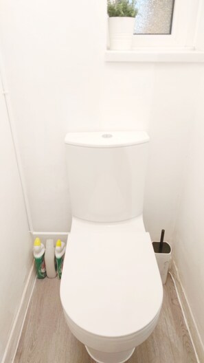 Secador de pelo, toallas, jabón, shampoo