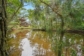 Property grounds - Off Belay - Creek View (Chincoteague Island)