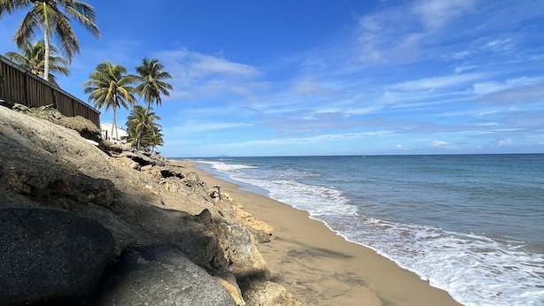 Una playa con rocas grandes, palmeras y una valla de madera.