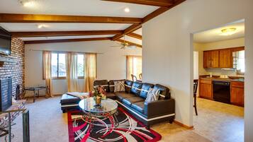 TV, fireplace, books