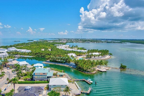 Unclassified image, 1 of 48, button