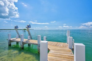 Unclassified image, 4 of 48, button