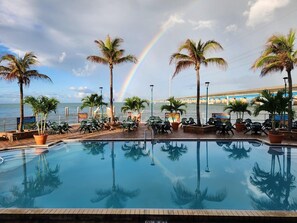 Uklassifisert bilde, 3 av 48, knapp