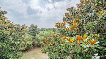 Terrein van de accommodatie