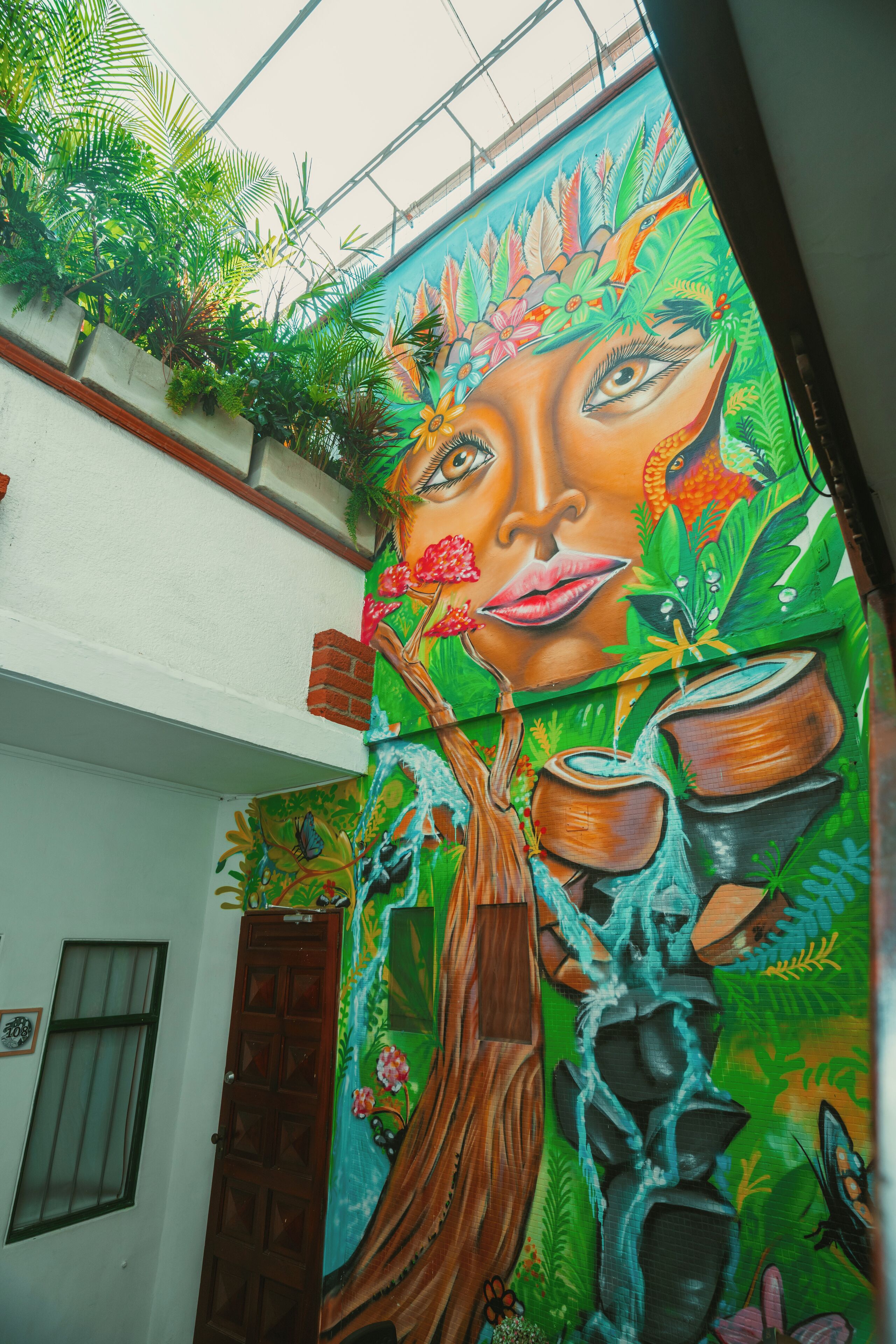 Foto - Hostal Pura Vida la 70