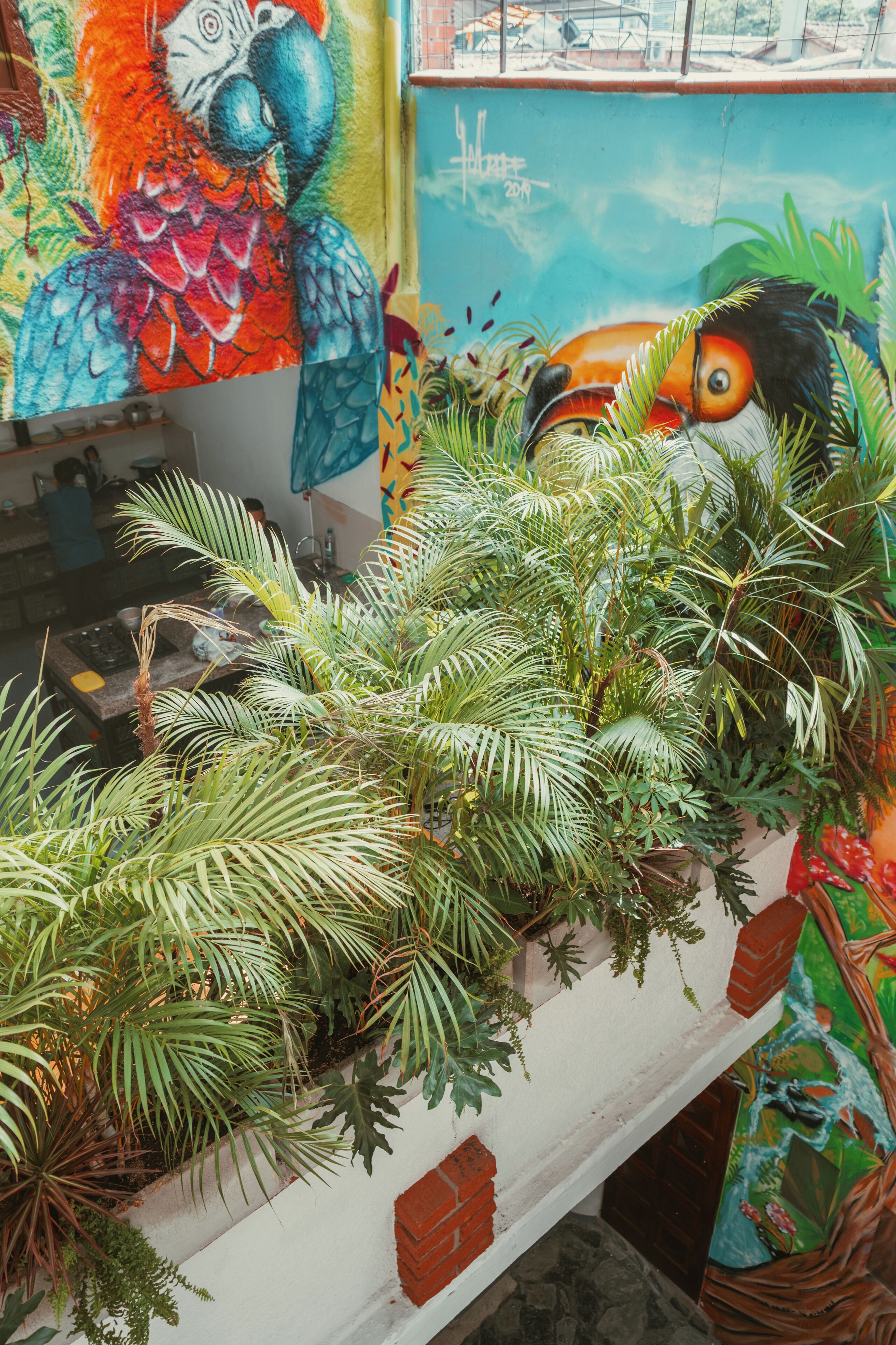 Foto - Hostal Pura Vida la 70