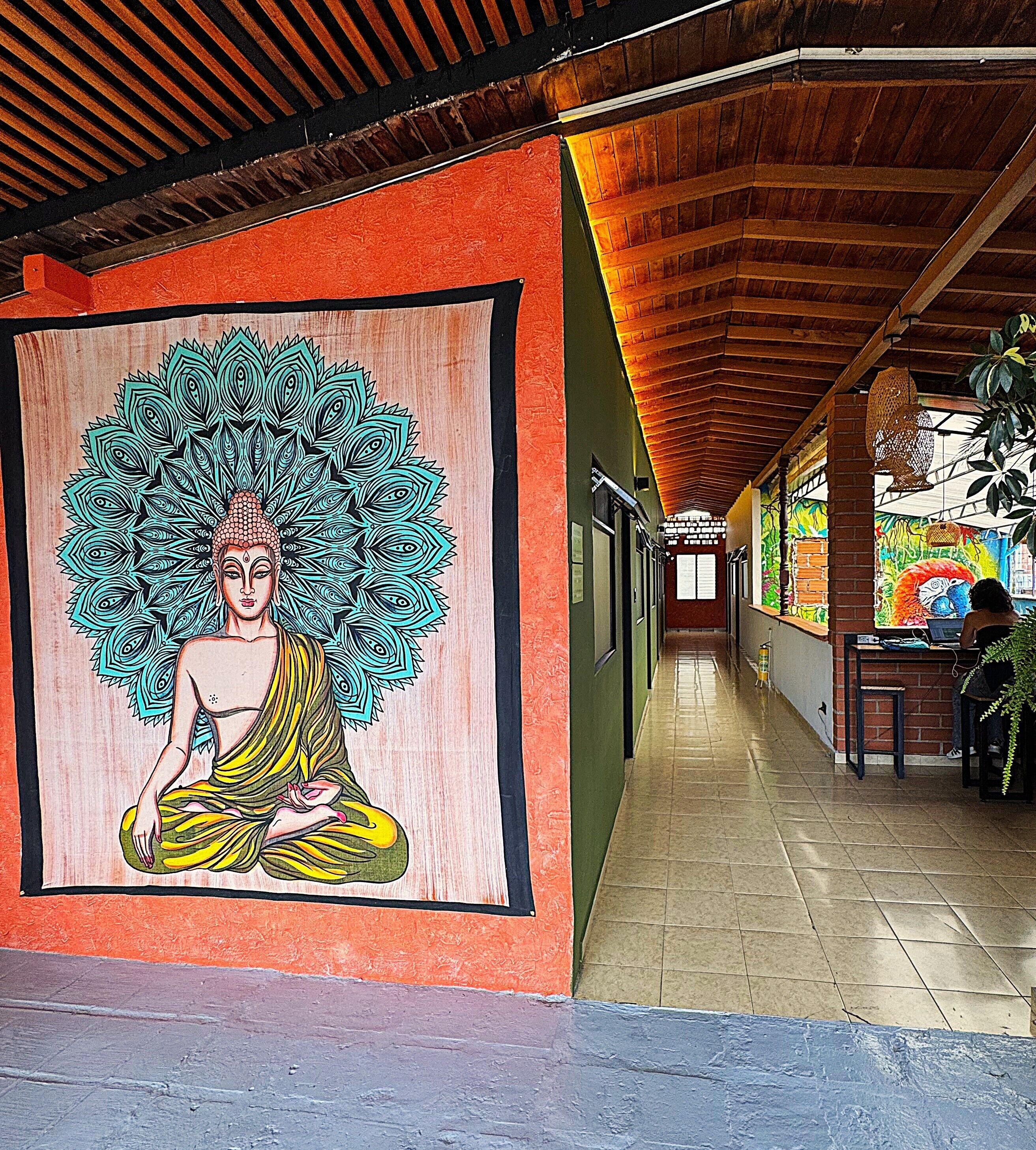 Foto - Hostal Pura Vida la 70