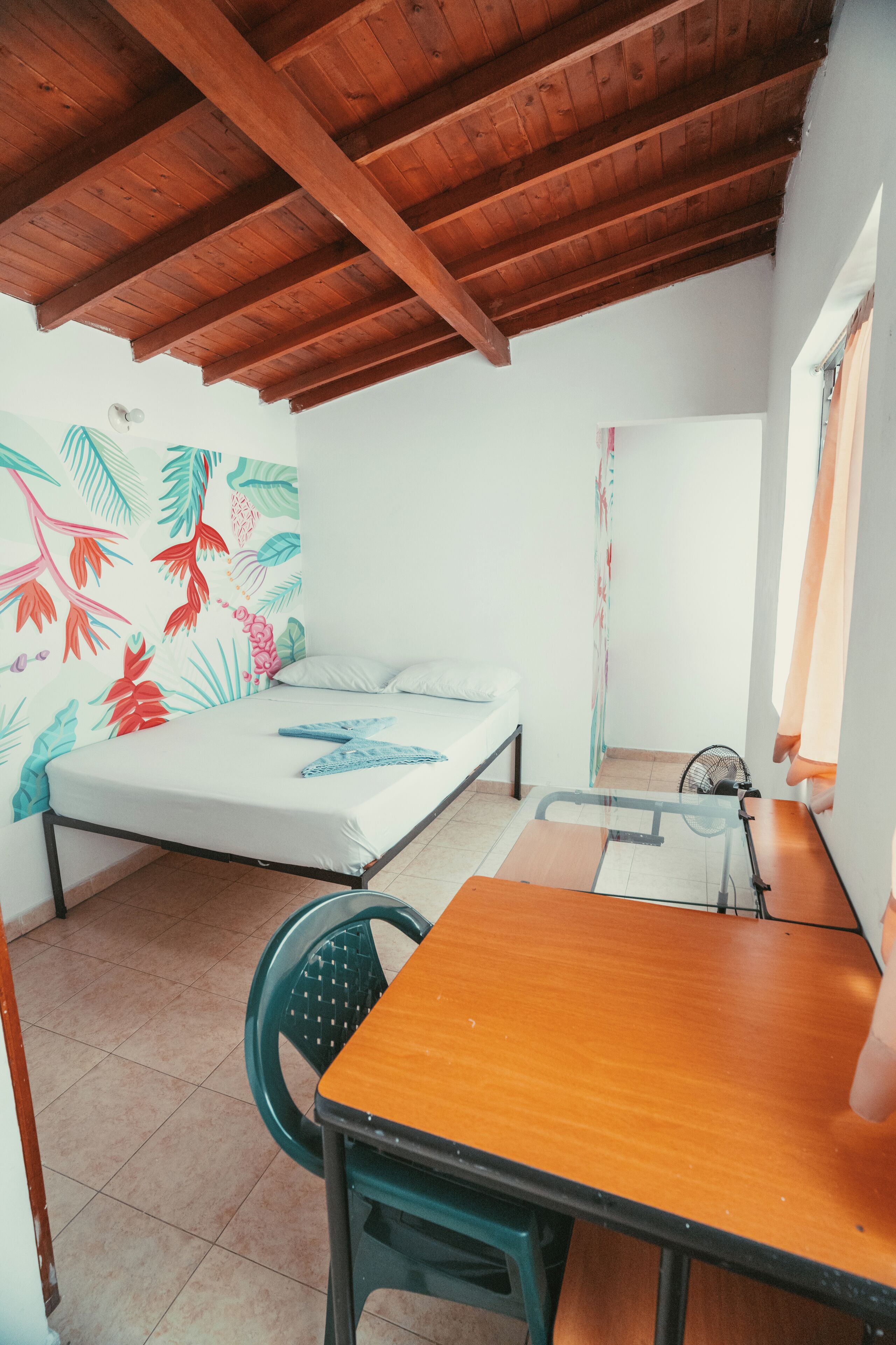 Foto - Hostal Pura Vida la 70