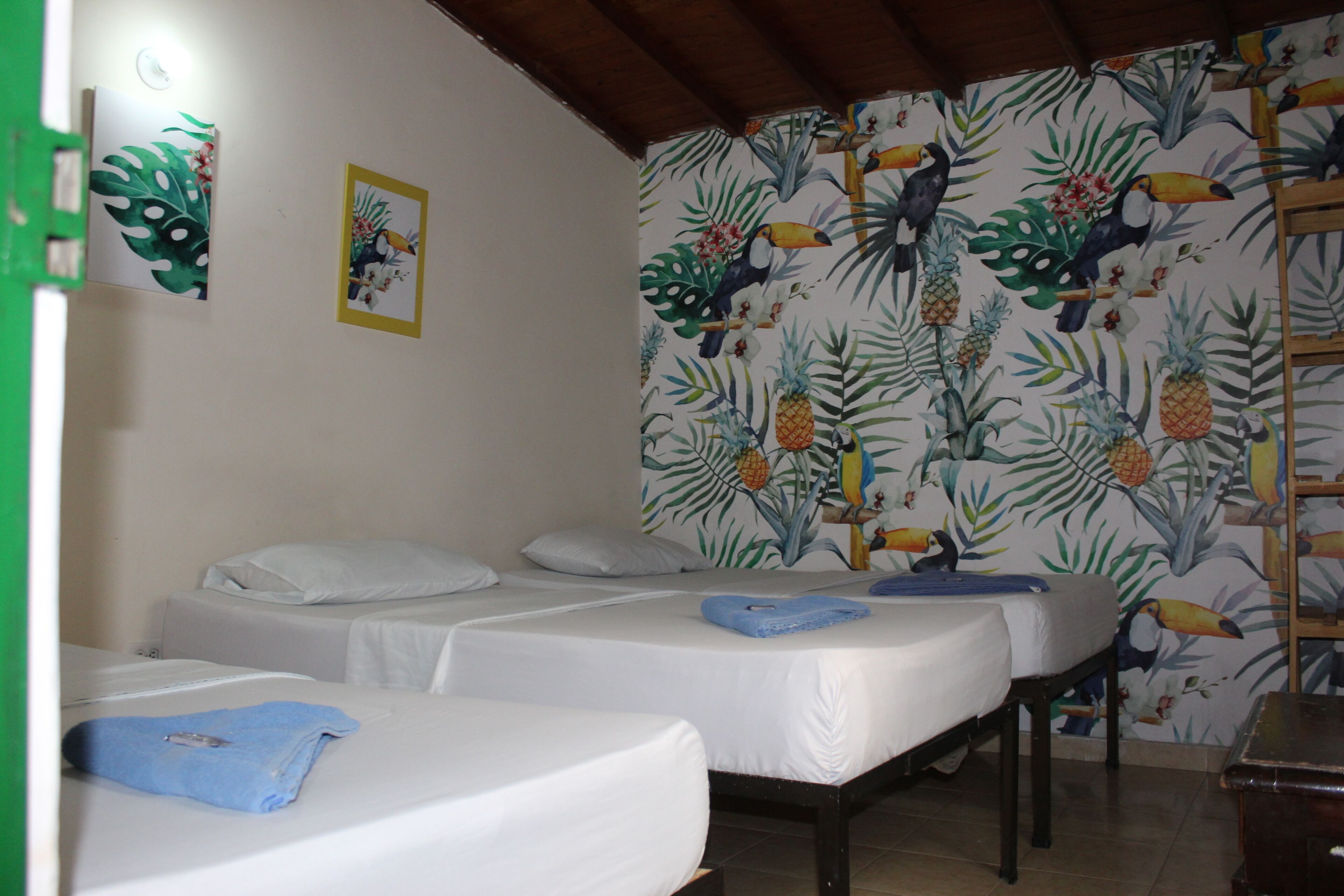 Foto - Hostal Pura Vida la 70