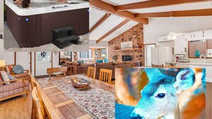 A modern home with a hot tub, a cozy living room, and a kitchen. - Deer Bungalow 1/2 house rental with spa. House not shared. Pets Okay! NEW (Julian)