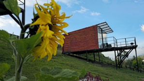 Eine moderne Holzkonstruktion mit Glasbalkon, gelegen auf einem grasbewachsen Hügel unter blauem Himmel.