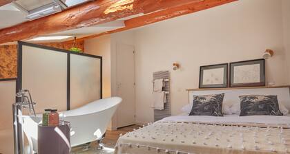 Remarkable flat in the historical part of Beziers