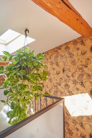 Interior - Remarkable flat in the historical part of Beziers (Beziers)