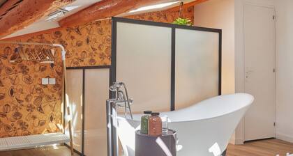 Remarkable flat in the historical part of Beziers