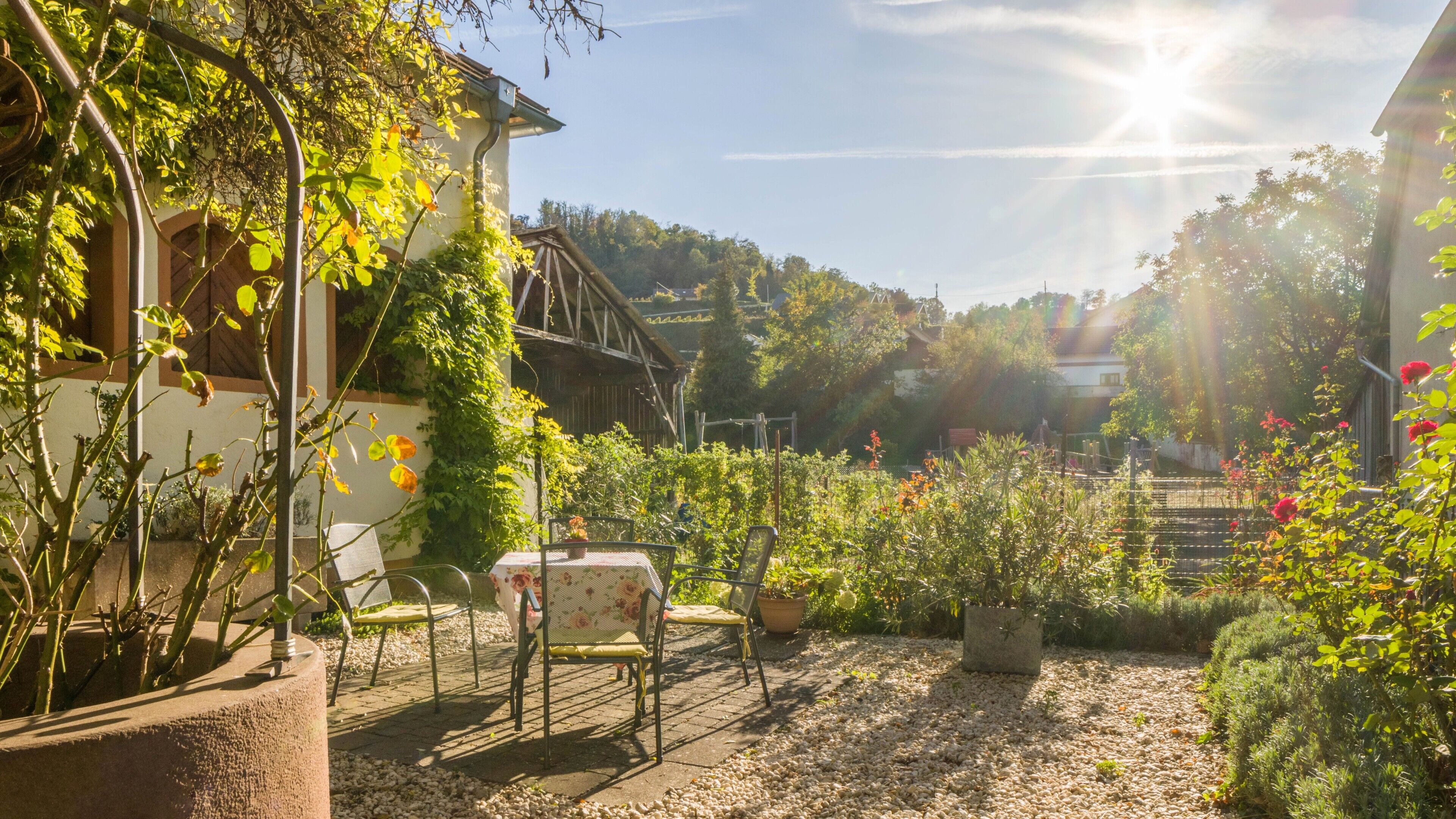 Un jardin avec une table et des chaises, entouré de plantes en pot et bordé d’un bâtiment doté d’un toit en pente.