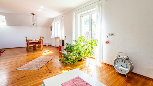 A room with a dining table, chairs, a potted plant, a radiator, a clock, and a window with curtains. - Apartment 'Elstar' with Wi-Fi (Stockach)