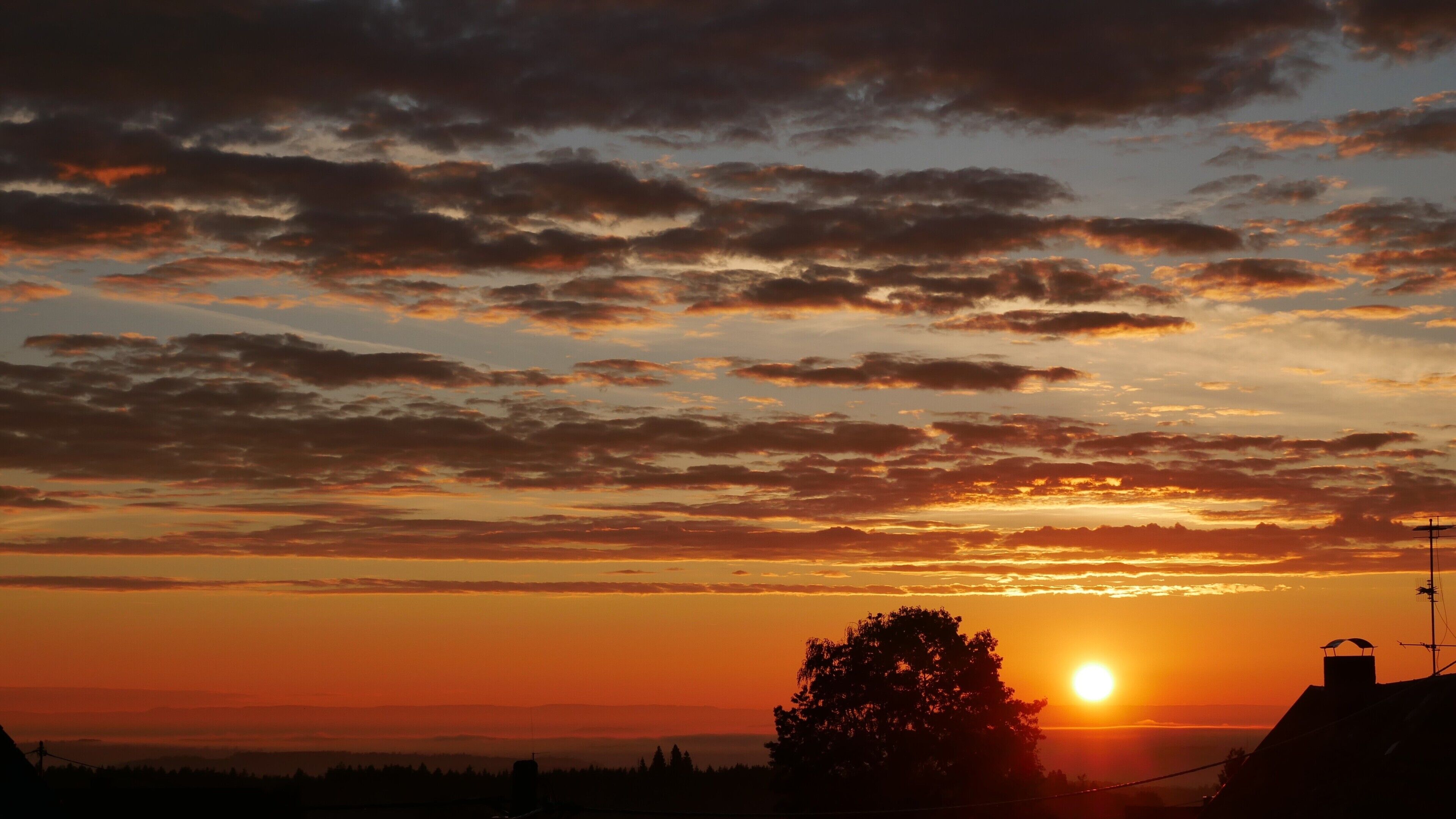 Un coucher de soleil sur un paysage, avec la silhouette d’un arbre et des bâtiments éloignés.