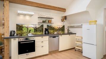 Fridge, oven, stovetop, dishwasher