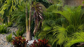 A tropical garden with various plants and a wooden fence. - 3 Bed 2 Bath House - Blocks to the Beach - 40 Foot Pool! (Cape Canaveral)