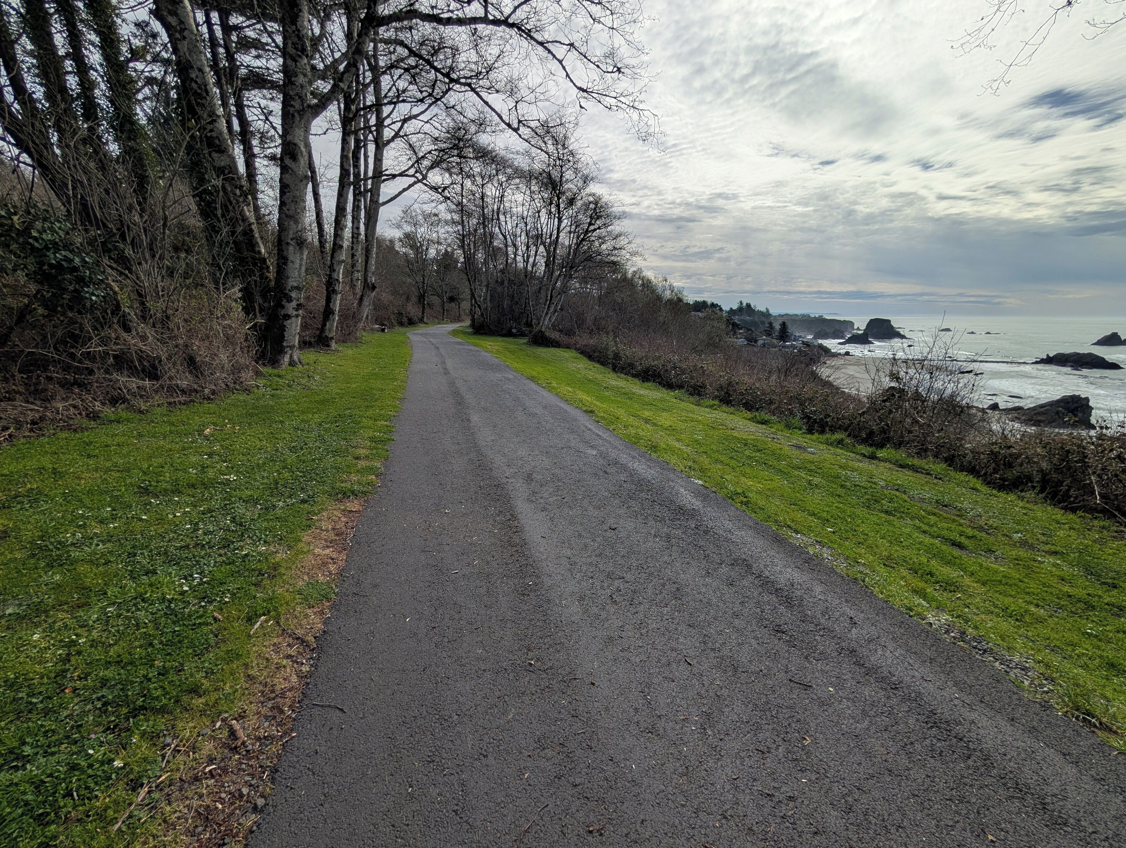 A paved path alongside a grassy area with trees and a view of the ocean.
