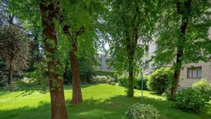 A lush green garden with mature trees and a well-maintained lawn.