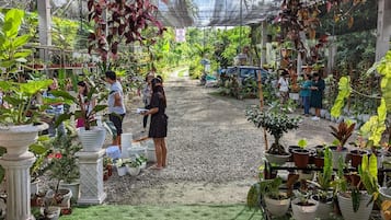 Une serre contenant diverses plantes en pot et un chemin recouvert de gravier.