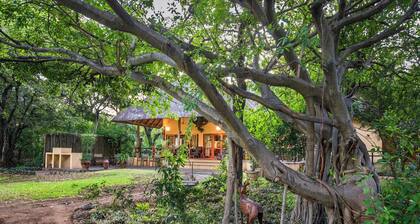 Bush villa at Kruger Park entrance (Phalaborwa)