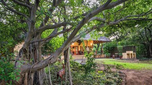 A tree with extensive roots and a deer statue in a garden area.