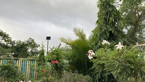 Um jardim com diversas plantas e um caminho de cascalho.