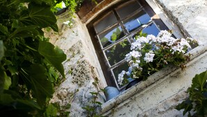 Un edificio con fachada de piedra, una ventana y algo de vegetación.
