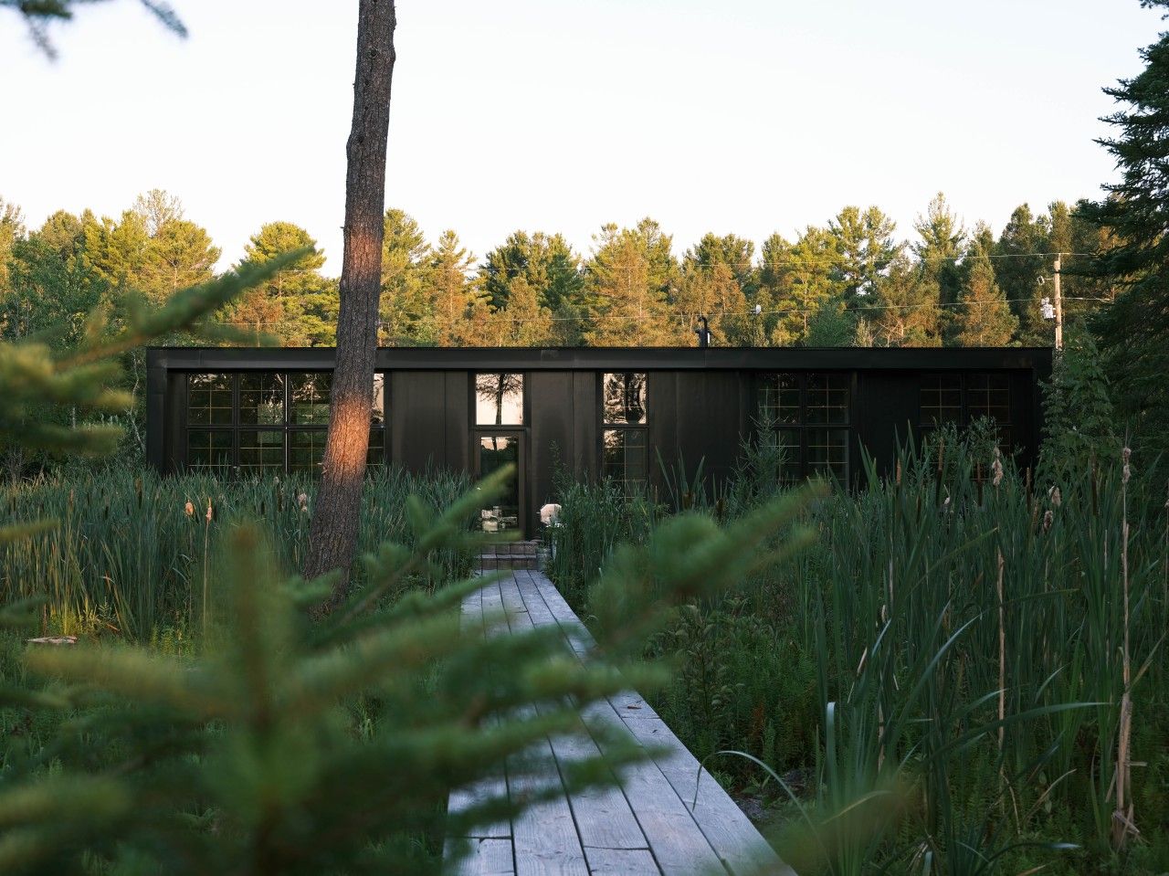 Una cabaña moderna con una terraza de madera que conduce a una puerta de cristal, rodeada por un bosque denso.