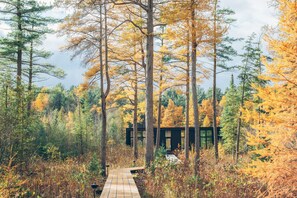 A forest path leading to a cabin with a clear view of the surrounding trees. - Hygge Sunrise Lane Home (Lake Leelanau)