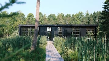 A modern building with a wooden pathway leading to the entrance, surrounded by tall grass and trees.