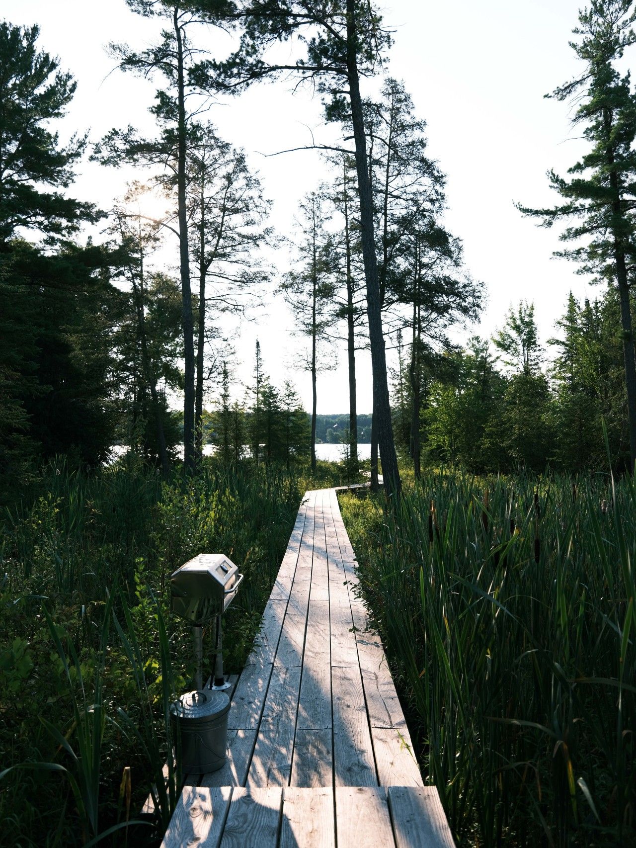 A wooden boardwalk leading through a forested area with tall trees and a body of water in the distance.