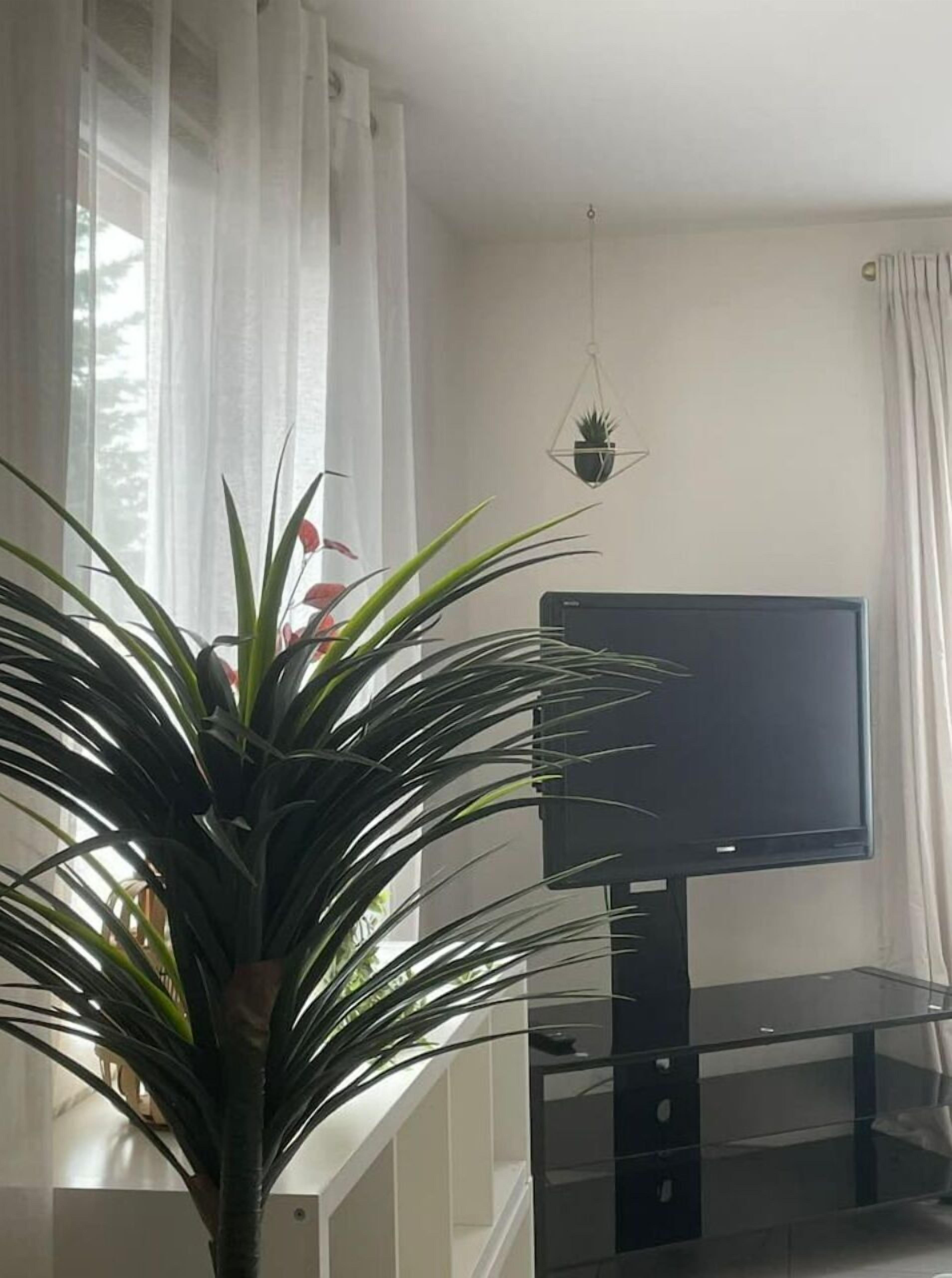 Sala de estar con una televisión de pantalla grande sobre un soporte negro, una planta en maceta en primer plano y una planta colgante en la pared.