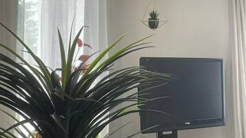 Sala de estar con una televisión de pantalla grande sobre un soporte negro, una planta en maceta en primer plano y una planta colgante en la pared.