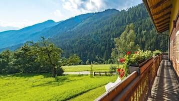 Ein Balkon mit Blick auf ein grünes Feld und Berge.