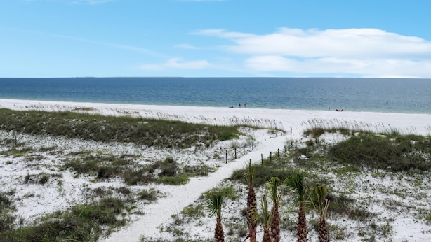 Ein Strand mit weißem Sand, spärlicher Vegetation und blauem, wolkenlosem Himmel.
