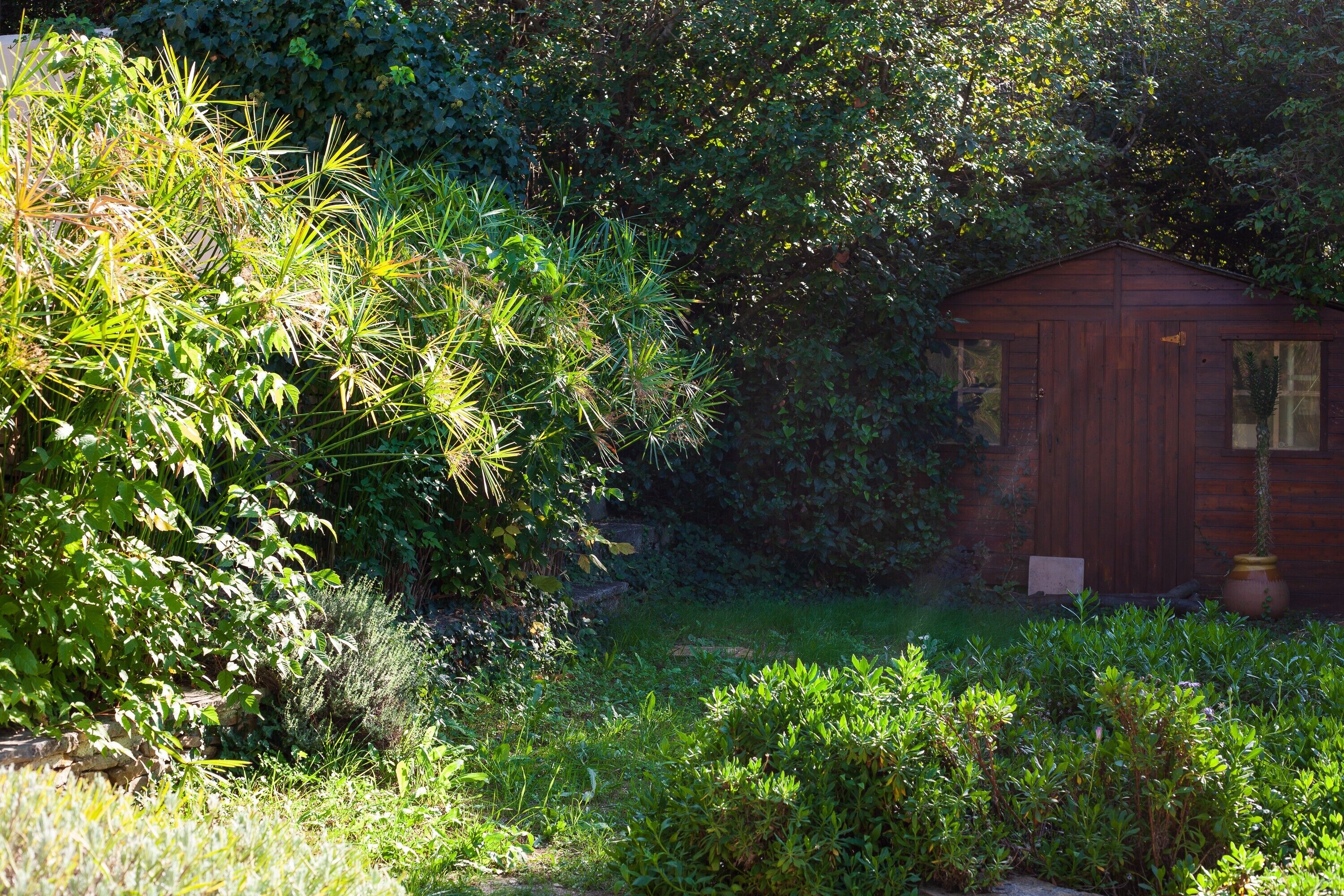 A wooden shed in a garden with dense foliage and a stone wall in the background.