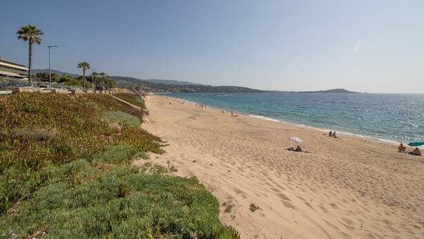 Ein Strand mit blauem Himmel, Palmen und einem fernen Berg.
