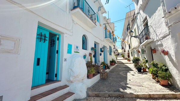 Exterior detail - Vacation Home "Andalusian Home In Frigiliana" with Mountain View, Private Terrace & Wi-Fi (Frigiliana)