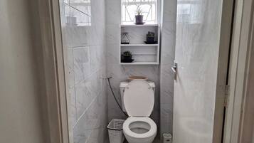 Shower, towels, soap, toilet paper