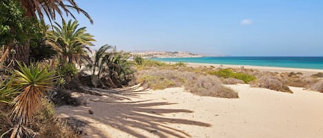 Ubicación cercana a la playa