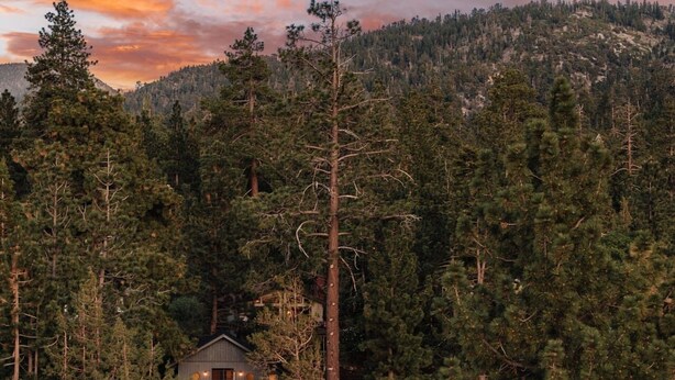A lodge surrounded by dense forest, with a clear path leading to the entrance.