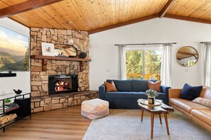 Fernseher, Kamin, Bücher