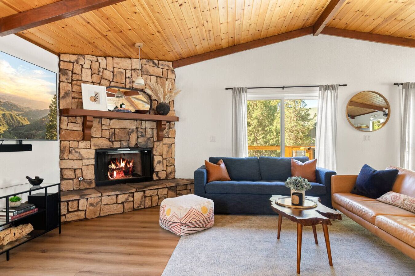 TV, caminetto, libri