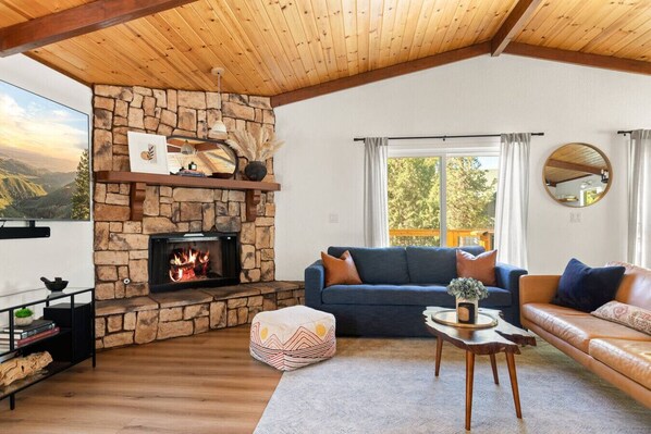 TV, fireplace, books