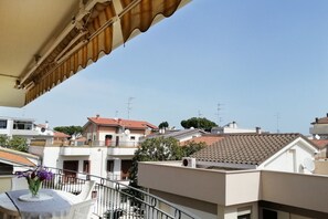 Un balcón residencial con vista a casas vecinas, una antena parabólica y una planta en maceta.