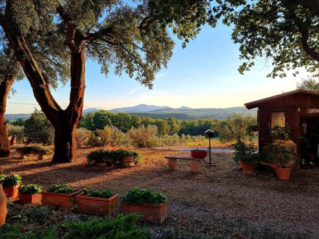 Un giardino rustico con una casetta di legno, alberi grandi e un sentiero di ghiaia.