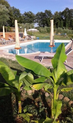 Seasonal outdoor pool, pool umbrellas, pool loungers